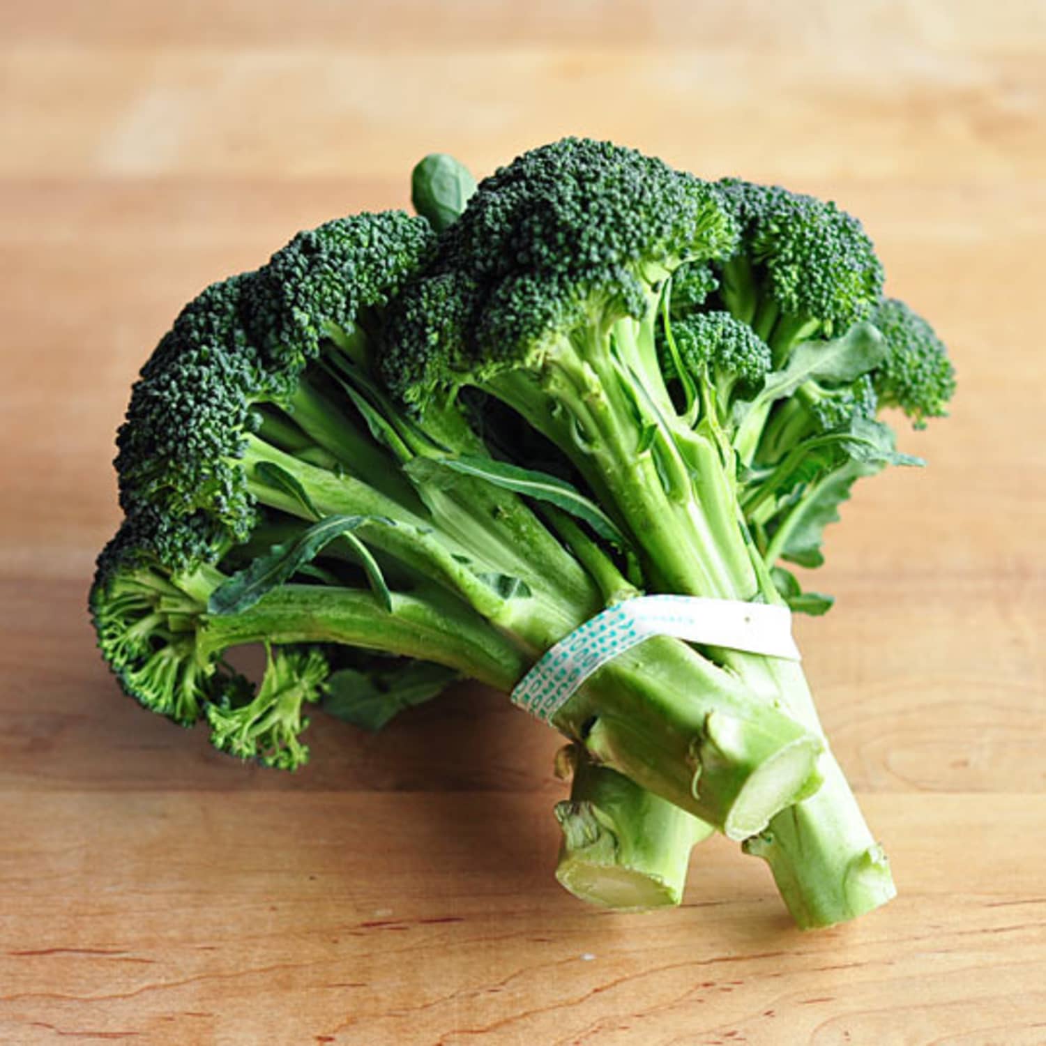Exploring Dogs Eating Broccoli: Benefits and Risks插图