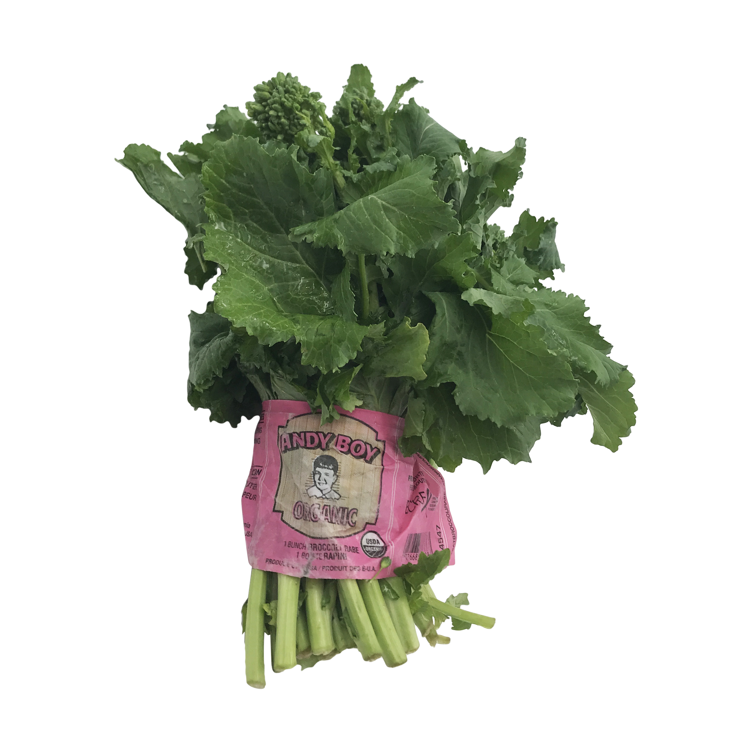 The Versatility and Nutritional Powerhouse of Broccoli Rabe