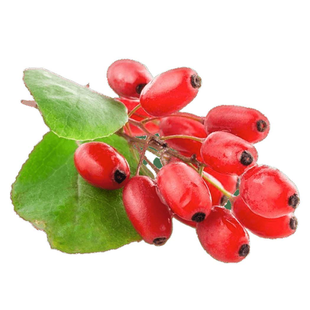 goji berries cancer warning