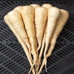 what is a parsnip