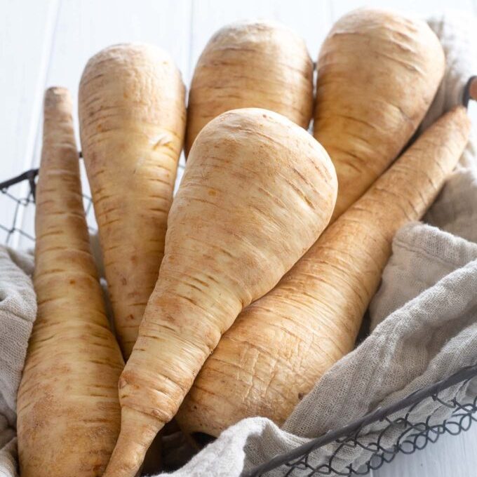 parsnip