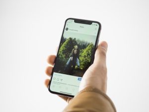 Online Tool to Save Instagram Posts – HD Videos & Images Free
