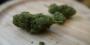 Learn How Wiet Online Kopen Makes Cannabis Shopping More Convenient