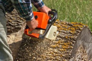 Trusted Mobile Tree Removal Service for Residential Properties
