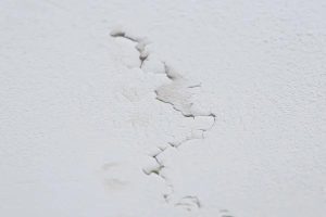 Trusted Water Damage Cleanup Services in Mesa