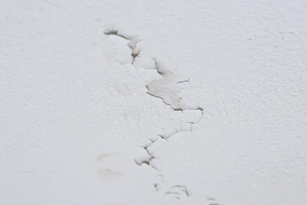 Trusted Water Damage Cleanup Services in Mesa